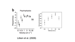 Löken et al. (2009)
 