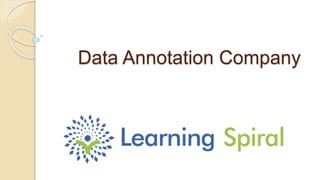 Data Annotation Company
 