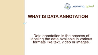 Data annotation company | PPT