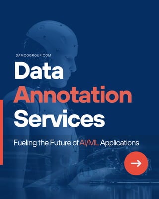 Data
Annotation
Services
DAMCOGROUP.COM
FuelingtheFutureofAI/MLApplications
 