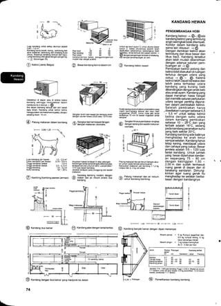 r
Diletakkan di depan atau di antam kedua
kandang sehingga memudahkan dalam
membuka ke 2 sisinya + @
Sisi depan kandang terbuat dari ram kawat
lapis timah. Kandang untuk kelinci betina
menggunakan ram kawatwama gelap, dengan
panjang dipan 10 cm.
Luas kandang per hewan 1,5 -2,0 m,
Lebar sandaran per hewan 0,75 - 0,8 m
Tinggi sandaran terikat 1,8 m
Tinggi sandaran bebas 2,5 - 2, 8 m
Tinggi kandang 1,9-2,2m
Suhu kandang 10" - 20.c
@ Kambing(kambingsaanenJerman)
LPT
Ras kecil 80 80 55
Ras sedang 100 80 65
Ras besar 120 80 75
kedalamannya sama, penggolongannya
mudah dan sangat praktis.
@ Besarkandangkelincidalamcm
WSangkar terdiri dari kawat kisi berlapis timah
denoan ukuran kawat 25125 alau 12170 mm.
/,E Sangkardari ram kawatdengan
9/ tempat makanan otomatis.
Anyaman kilat terdapat di atas palungan.
Kemiringan lantai sama dengan datamya atiap.
terdapat saluran untuk air seni. Luasjendela =
1/10 luas dasar kandang
Jendela terdapat pada punggung sisi wadah
makanan.
^
Kandanq kambinq modern dengan
(Q makan ian air riinum antara dua
Kan0ang.
Untuk ras kecil susun 3, untuk ukuran besar
susun 2. batas ukurannya seperti telah
disebutkan sebelumnya (panianqnya tidak
tglbatas). lantai terbuat dari papan berkisi +
Q) dengan pengeringan terletak di belakang,
dan tempat penampungan air seni.
@ Xandang kelinci susun
Kotak sarang diperuntukkan untuk kelinci yang
masih kecil-sarang terbuat dari kayu atau
polyerethan (PUR). Untuk mata iata tantai
sedikitnya 70 mm di bawah tingketan lantai
sangkar.
^
Sangkarkhususpembiakanlengkap
@) dengan sarangdanwadah makanan
otomatis.
r3o'
Palung makanan dan airminum dengan ukur-
an umum pada tempat penyimpanan
Kebutuhan makanan per kambing = 1.2 kg
rumput dan 2, 3 kg ubi-ubian.
/A Palung makanan dan air minum
y/ untuk kandang kambing.
KANDANG HEWAN
PENGEMBANGAN HOBI
Kandang kelinci -; @- @sisi
kandang kelinci yang terlindung
angin seringkali tidak ditempati.
Koridor dalam kandang satu
sama lain disusun -+ 6).
Dengan demikian kelirEi akan
terlindung dari tikus besar dan
tikus kecil. Kandang tersebut
akan lebih mudah dibersihkan
dengan adanya saluran pem-
buangan ai -+ @
Pembiakan kelinci potong dan
kelinci bibitdilakukan di ruangan
tertutup dengan udara yang
cukup -, O - @. Karena
kelinci lebih bepat bereaksi dan
lebih peka terhadap udara
kandang yang kurang baik
dibandingkan dengan anak babi
atau anakayam. Kandang yang
dapat menahan hawa hangat
dan memil iki saluran pertu kara n
udara sangat penting diguna-
kan dalam pembiakan kelinci.
Setelah pembiakan harus
. disediakan ruangan sebesar4,5
- 5,5 m2 untuk setiap kelinci
betina dengan suhu udara
dalam kandang pembiakan
sebesar 10 - 28'C dan yang
terbaik adalah 18"C, sedang
pada kandang peranakan suhu
yang baik sekitar 20"C.
Kandang kambing ada baiknya
menghadap ke arah timur
sampai selatan. Kandang harus
tetap kering, mendapat udara
dan cahaya yang cukup. Besar
jendela adalah 1i5 - 1/20 luas
lantai kandang. Untuk jumlah
yang besar diperlukan sandar-
an sepanjang 75 - 80 cm
dengan ketinggian 1,50 -2,00 m dan sudah termasuk
ruang gerak di depan dan di
belakang sandaran. Dimung-
kinkan agar ruang gerak itu
menghadap ke selatan berba-
tasan dengan kandangnya
M
20
 T
VI
I
lT
L
Rr
^,1Saluran tinja
Landaian
Salur,n air
Luas kandang untuk setiap ekomya adalah
0,65 - 1,0 m',
Kandang harus bereih, kering , terlindung dari
sinar matahari, terlindung dari binatangbuas
(tikus). Biasanya kandang terbuat darf kayu.
Lantai kandang dilengkapi dengan pengering.
+ (, Kemiringan 5%
O Xetinci (Jenis Belgia)
Palung makanan dalam kandang
-
0,85--'1,25
1r^
r.I:i( 
h:
TffD
@
T
+
L
T
I
I
i
-45
T
I
@ XanOang dua kamar
@ Kandangjalan dengan lantai berkisi
@ fanOang dengan dua kamar yang menjorok ke dalam
74
-
1,20 +80+ 1,00+
@ fanOang banyak kamardengan dipan menempel
Musim panas = 5 kg Rumput segar/hari dan
0,5 kg rumput kering,6 kg
daun semanggi merah
Musim dingin = 1 kg rumput kering/hari
Air 2 - 3liter per hari
Jendela 1/1 5 - 1/20 luas kandang Tinggi > 2,50 m. Wadah air minum
= '1 baskom unluk 30 ekor hewan: 0.4 kg jerami/han, 1,5 dt tahun/
hewan, peEbukan 7-'17 dvekor
@ Pemeliharaan kandang kambing.
Ruang Palungan Kandang terikat
gerak
m2 cm Sandaran Lebar Panjang
0,7 20 -1,2 30 - 40 50 50 40
1,5 40 - 50 80 50-70 40
2,2 80 80 60 50
4,0
muda
g betjna
q jantan
 