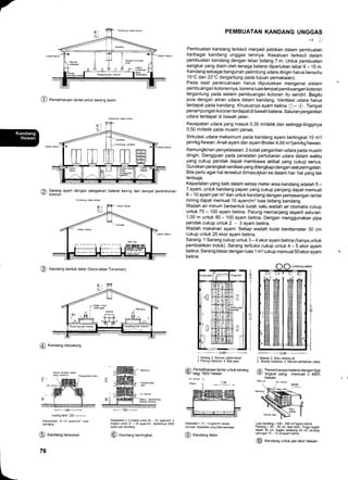 -*_| I"[n"",,";
@ Pemelifraraan lantai untuk sarang ayam
@1 Sarang ayam dengan pengaliran baterai kering dan tempat penimbunan
v kotoran
@ fanOang bentuk datar (Deck-datar-Tanaman)
@ Kanoang berpalung
PEMBUATAN KANDANG UNGGAS
-) ll
Pembuatan kandang terkecil menjadi patokan dalam pembuatan
berbagai kandang unggas lainnya. Kesatuan terkecil dalam
pembuatan kandang dengan lebar bidang 7 m. Untuk pembuatan
sangkar yang dialiri oleh tenaga baterai diperlukan lebar 6 - 15 m.
Kandang sebagai bangunan pelindung udara dingin harus bersuhu
15'C dan 22"C (tergantung pada tujuan pemakaian).
Pada saat perencanaan harus diputuskan mengenai sistem
pembuangan kotorannya, karena luas tempat pembuangan kotoran
tergantung pada sistem pembuangan kotoran itu sendiri. Begitu
pula dengan aliran udara dalam kandang. Ventilasi udara harus
terdapat pada kandang. Khususnya ayam betina O- @. Tempat
penampungan kotoran terdapat di bawah baterai. Saluran pergantian
udara terdapat di bawah jalan.
Kecepatan udara yang masuk 0,30 m/detik dan setinggi-tingginya
0,50 m/detik pada musim panas.
Sirkulasi udara maksimum pada kandang ayam bertingkat 10 m3/
jam/kg hewan. Anak ayam dan ayam Broiler4,00 m3/jam/kg hewan.
Kemungkinan penyelesaian:2 kotak pergantian udara pada musim
dingin. Gangguan pada peralatan pertukaran udara dalam waktu
yang cukup pendek dapat membawa akibat yang cukup serius.
Gunakan perangkat ventilasi yang dilengkapi dengan alat peringatan.
Bila perlu agar hal tersebut dimasukkan ke dalam hal- hal yang tak
terduga.
Kepadatan yang baik dalam setiap meter area kandang adalah 5 -7 ayam, untuk kandang papan yang cukup panjang dapat memuat
B - 1 0 ayam per m2 dan untuk kandang dengan pemasangan lantai
miring dapat memuat 16 ayam/m3 luas bidang kandang.
Wadah air minum berbentuk bulat: satu wadah air otomatis cukup
untuk 75 - 100 ayam betina. Palung memanjang seperti saluran:
1,00 m untuk 80 - 100 ayam betina. Dengan menggunakan pipa
pendek cukup untuk 2 - 3 ayam betina.
Wadah makanan ayam: Setiap wadah bulat berdiameter 30 cm
cukup untuk 25 ekor ayam betina.
Sarang: 1 Sarang cukup untuk 3 - 4 ekor ayam betina (hanya untuk
pembiakkan induk). Sarang terbuka cukup untuk 4 - S ekor ayam
betina. Sarang besar dengan luas 1 m2 cukup memuat S0 ekor ayam
betina.
Luhbung pahan
+12,99+
1. Sarang, 2. Saluraa udara keluar
3. Palung makanan,4. Bak pasir
A Pemeliharaan lantai untuk sarang
J/ bagi 1600 hewan -12,99
+
1. Baterai, 2. Suku cadang air
3. Wadah makanan, 4. Saluran pertukaran udara
/6 Pemeliharaan baterai denqan tiga
€/ tingkat yang memuat i 48do
hewan.
Pipa ar A[ minum
|_-- --'180._
kurang lebih. 220 .-
Kepadatan 8-13 ayam/m, luas
kandang
@ ranoang bersusun
76
+150+
Kepadaian = 3 t ngkat untuk 20 - 23 ayam/mr. 4
iingkat untuk 27 - 30 ayam/m,. Sedikitnya 3000
ayam per kandang
@ KanOang bertingkat
Kepadatan = 13 - 14 ayam/m, se@ra
otomatis. Kepadalan yang tidak seberapa
@ Kandang datar
Luas kandanq = 430 - 450 cm,/avam betina
Panjang = 40- - 45 cm, hsa lebih. Trnggi oagian
depan 50 cm. bagian belakano 40 cm Daljang
paiungan 10 - 12 c-m/ayam betin'a
@ XanOang untuk per ekor hewan.
sI
1
2
I
H
IH]
tHl
HI
Hl.
trl-
a3
HI
tHl
IH
H
H
m
1
I
4
4
 