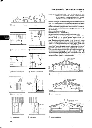 @w2,so #.: fl
€) Kandang 1 ruang yang digabungkan
@ Kandang dua ruang yang digabungkan
@ Kanoang I ruang terpisah
@ t<anoang 2 ruang terpisah
ffi
fA Ukrrrn ointu kandano
A_
(, rempar mrnum
80
KANDANG KUDA DAN PEMELIHARAANNYA
-+ :r
Keterangan: Dinas Pengawasan Teknik dan Pembangunan Area
Peternakan Terdaftar Jl. Bartning. 1600 Darmstadt
1 2. Perhimpunan Penunggang Kuda Jerman. Terdaftar
Jl. Freiherr-von-langen 13, 4410 Waren Dorf 1.
Kandang gabungan sebaiknya tidak digunakan untuk kuda pacuan
-+ @ - @. Keterbatasan ukuran kandang menjadikan kuda sulit
bergerak bebas. Ukuran kotak kandang ditentukan oleh ciri dan
perilaku ras tertentu, yang berkaitan dengan panjang tubuh kuda.
Karena panjang kuda tidak biasa diukur, yang berlaku adalah tinggi
(ukuran tengkuk).
Aturan umum bagan kandang:
Lantai kandang = (! x tinggi tengkuk)'z
Panjang minimal kandang = 1,5 x tinggi tengkuk @ - @
Kuda tunggangan memerlukan tinggi kandang antara 1 ,60 - 1 ,65 m
dan luas lantai 10,5 m2. Format kandang adalah 3,00 x 3,50.
Panjang maksimal adalah 2,50 x 4,20. Agar kuda bergerak bebas
maka diperlukan lorong jalan selebar 2,50 m + @ - @. Oatam
kandang, setiap baris dilebihkan 50 cm untuk keleluasan gerak kuda
J @- @. Di samping kandang ada ruang pelana, kotak obat-
obatan, ruang penyimpanan makanan yakni ? 15 m2, tergantung
jumlah kuda. Ruang perawatan untul6 20 ekor kuda = 5,0 x 3,60 m,
juga kotak obat-obatan sesuai dengan kebutuhan 20 ekor kuda.
Kuda-kuda yang rentan terhadap angin keras maka perlu dilindungi
dengan sistem ventilasi yang baik pada kandang. --, @ - (}.
Temperatur ideal dalam kandang harus diperhatikan. Juga perlu
disiapkan agar kuda dapat bertahan pada suhu udara rendah
bahkan sampai di bawah 0'C di musim dingin.
@ tekanan udara di bawah
@ t"Xrnan udara di atas
@ eony
2,80
-3,00
h
2,50
1uo
1
*6
Saluran udara ke luar
f ?(udara
hansat)
44- /t /
=:
---t')f

@ tinggi patung
@ t"xrn"n udara merata
 