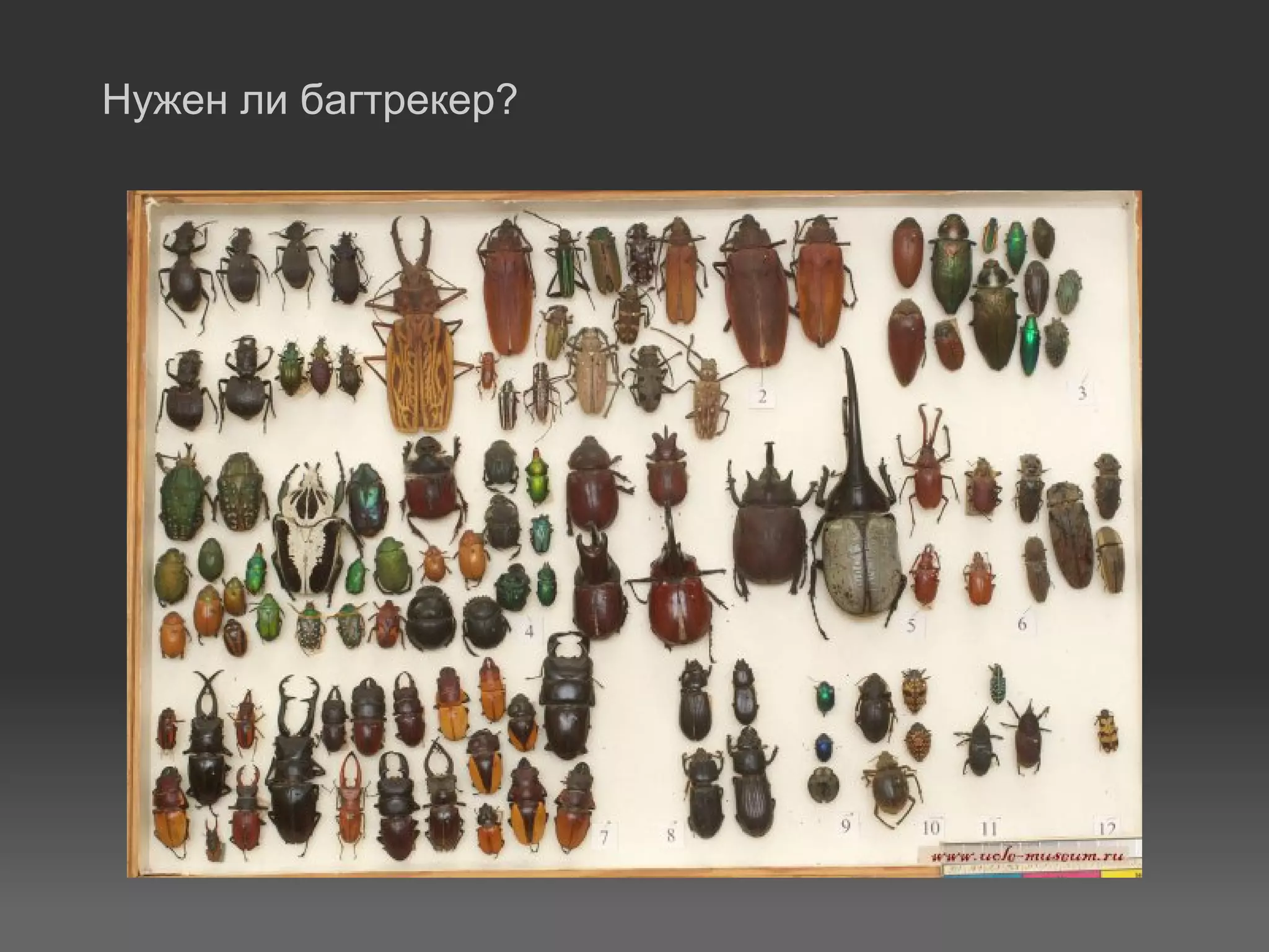 Нужен ли багтрекер?
 