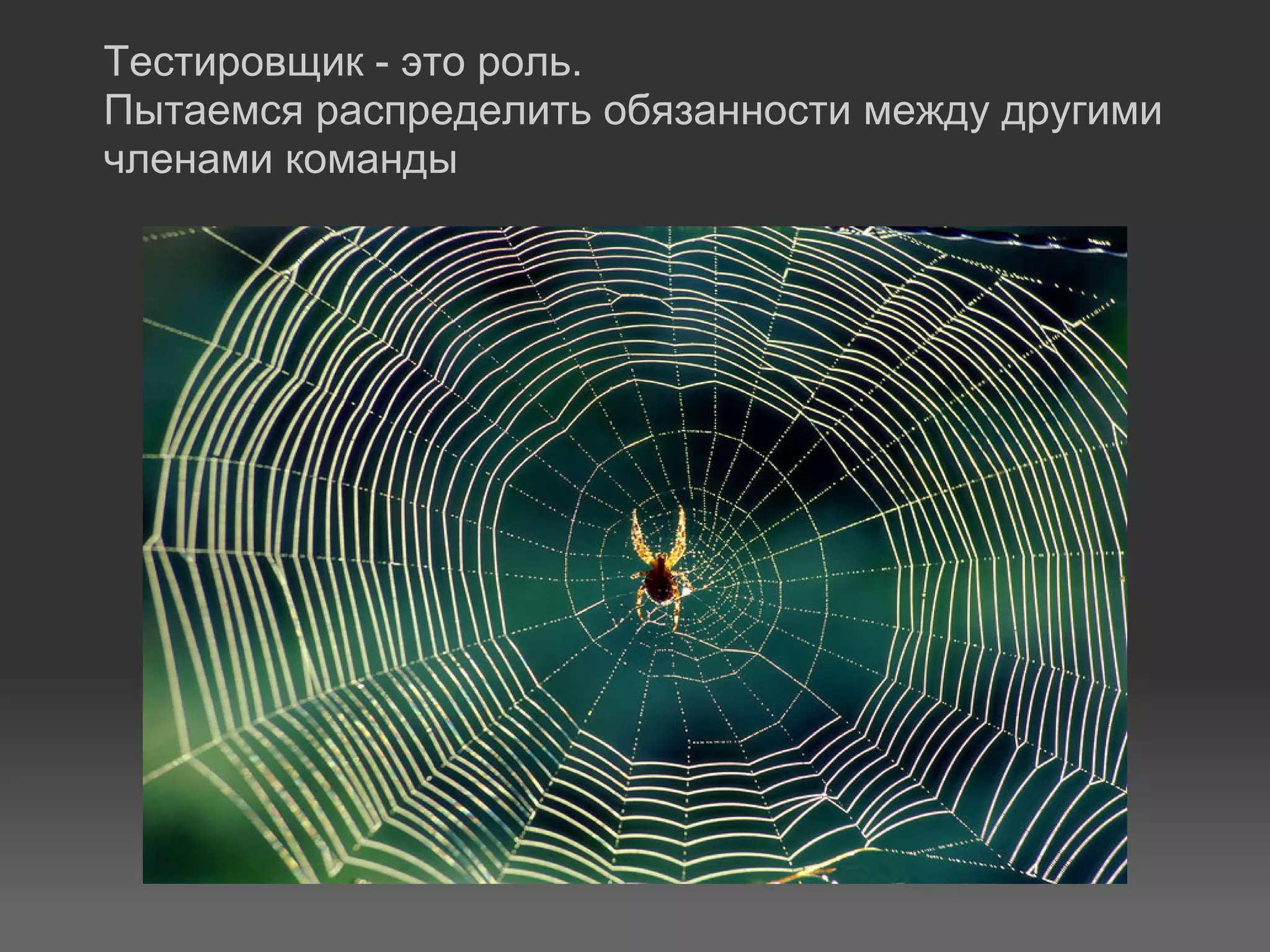 Тестировщик - это роль.
Пытаемся распределить обязанности между другими
членами команды
 