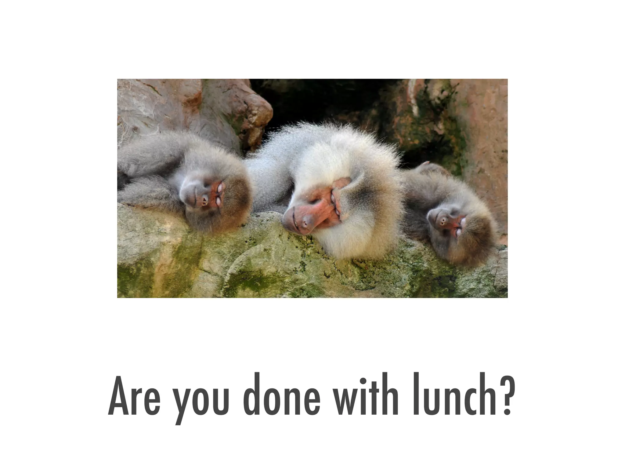 Are you done with lunch?
 