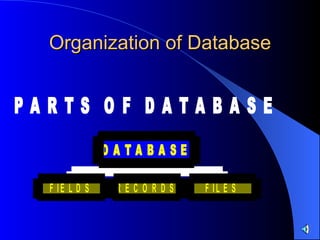 Organization of Database 