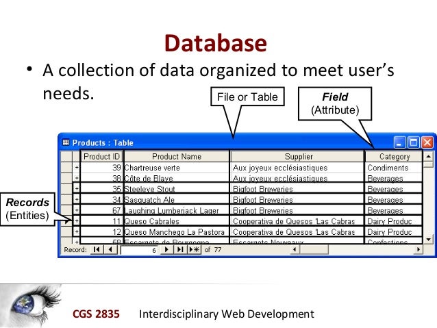 Database examples - loversmine