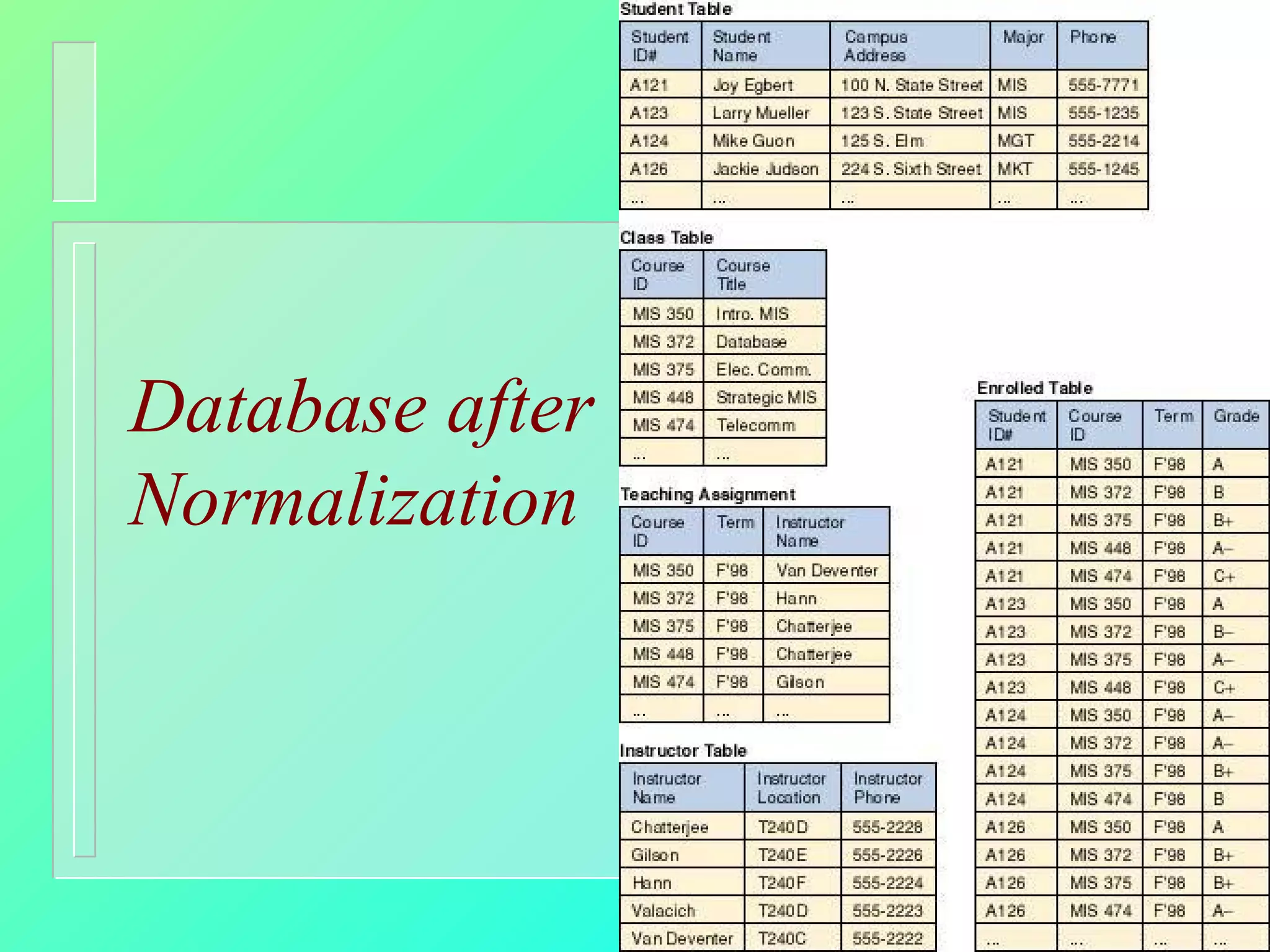 Database after Normalization 