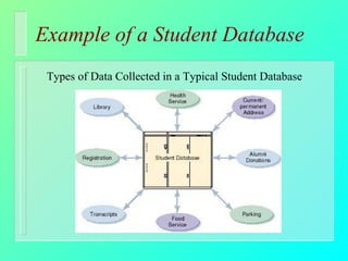 Example of a Student Database Types of Data Collected in a Typical Student Database 