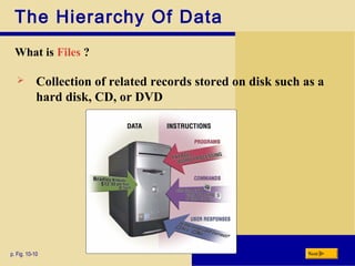 The Hierarchy Of Data
What is Files ?
p. Fig. 10-10 Next
 Collection of related records stored on disk such as a
hard disk, CD, or DVD
 