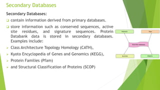 Secondary Databases
Secondary Databases:
 contain information derived from primary databases.
 store information such as conserved sequences, active
site residues, and signature sequences. Protein
Databank data is stored in secondary databases.
Examples include:
 Class Architecture Topology Homology (CATH),
 Kyoto Encyclopedia of Genes and Genomics (KEGG),
 Protein Families (Pfam)
 and Structural Classification of Proteins (SCOP)
 