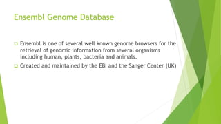Ensembl Genome Database
 Ensembl is one of several well known genome browsers for the
retrieval of genomic information from several organisms
including human, plants, bacteria and animals.
 Created and maintained by the EBI and the Sanger Center (UK)
 