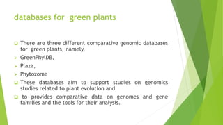 databases for green plants
 There are three different comparative genomic databases
for green plants, namely,
 GreenPhylDB,
 Plaza,
 Phytozome
 These databases aim to support studies on genomics
studies related to plant evolution and
 to provides comparative data on genomes and gene
families and the tools for their analysis.
 