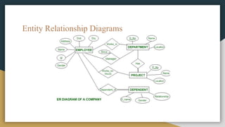 Entity Relationship Diagrams
 