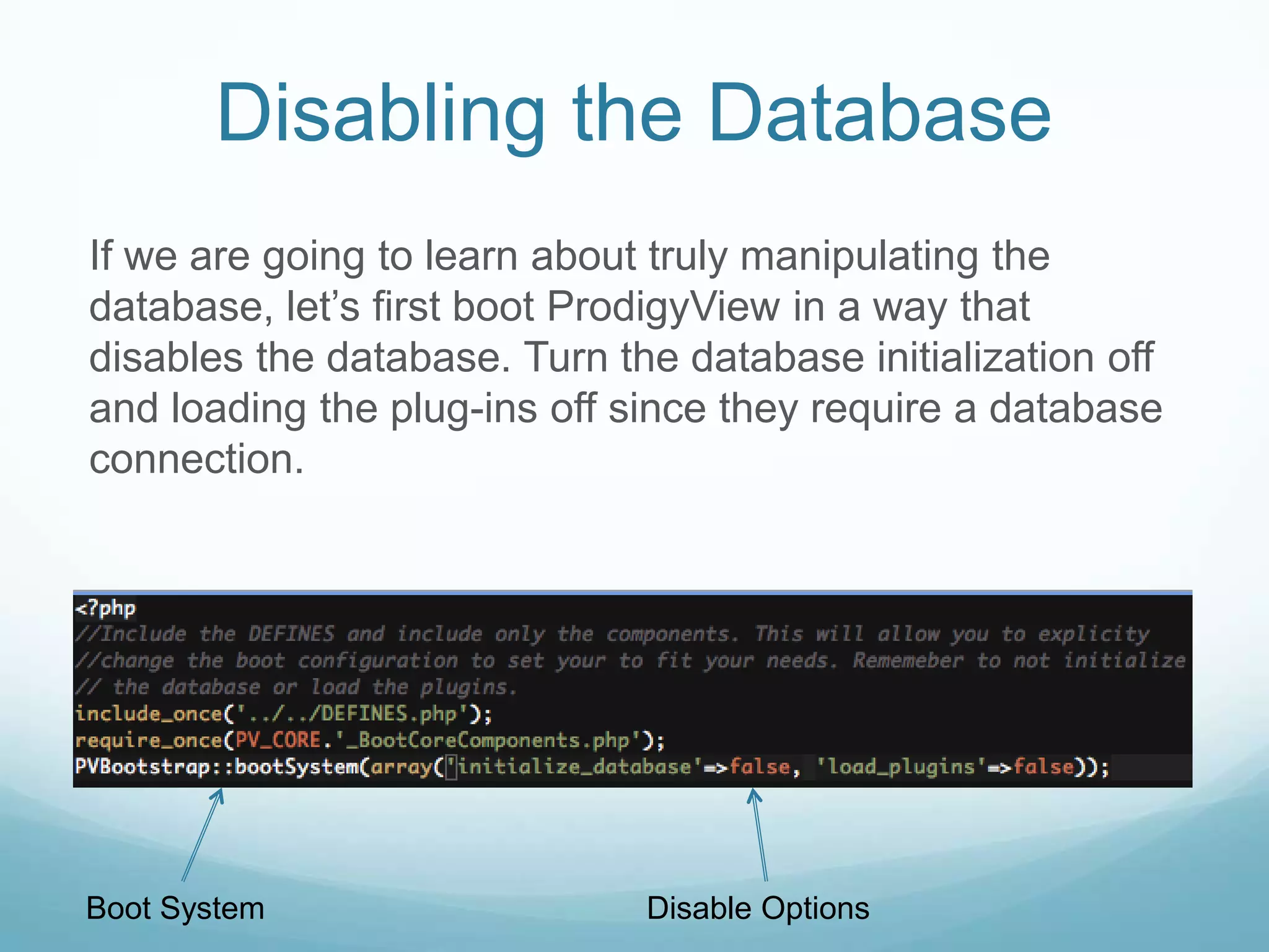 Disabling the Database
If we are going to learn about truly manipulating the
database, let’s first boot ProdigyView in a way that
disables the database. Turn the database initialization off
and loading the plug-ins off since they require a database
connection.




Boot System                   Disable Options
 