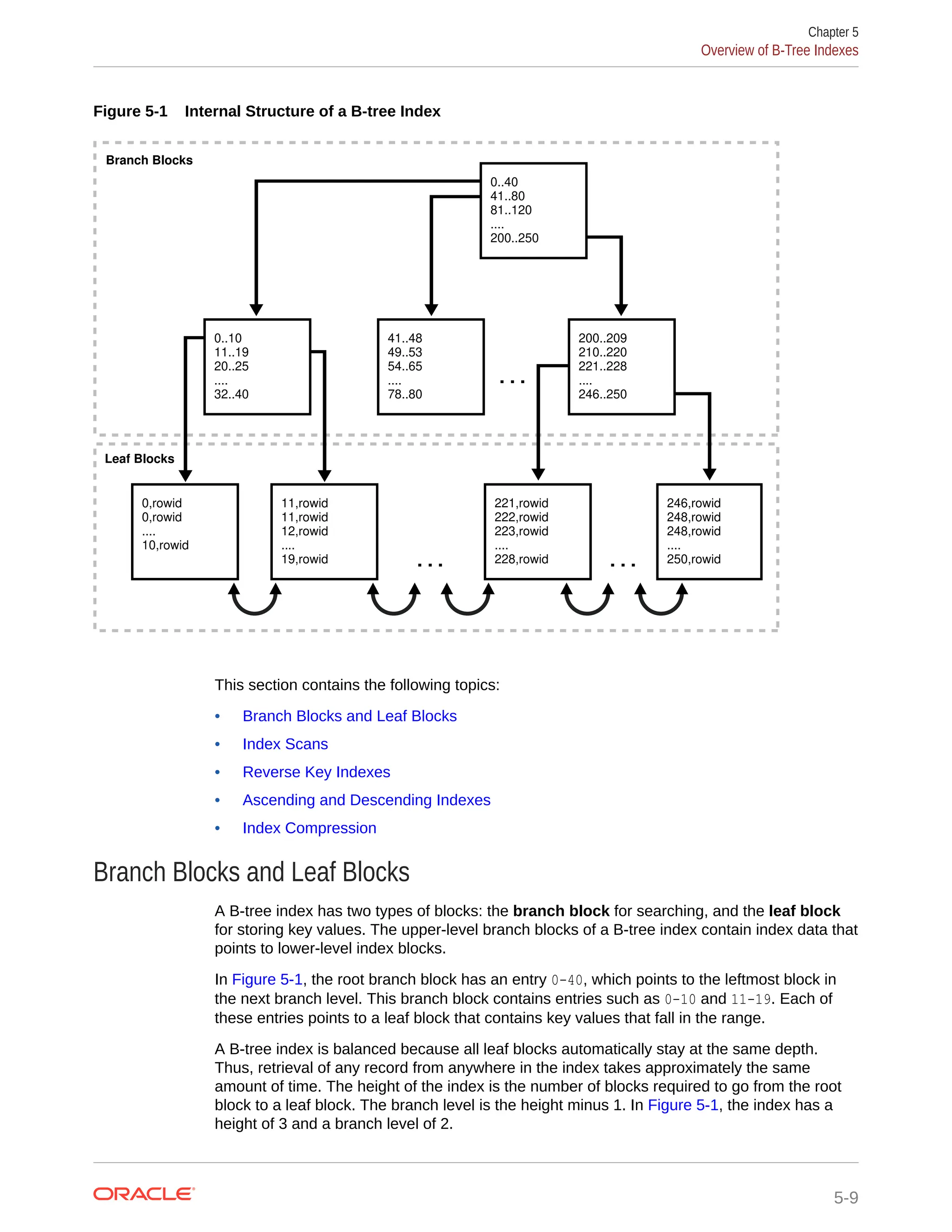 Figure 5-1 Internal Structure of a B-tree Index . . . 41..48 49..53 54..65 .... 78..80 11,rowid 11,rowid 12,rowid .... 19,rowid 221,rowid 222,rowid 223,rowid .... 228,rowid 246,rowid 248,rowid 248,rowid .... 250,rowid 0,rowid 0,rowid .... 10,rowid 0..40 41..80 81..120 .... 200..250 . . . . . . 0..10 11..19 20..25 .... 32..40 200..209 210..220 221..228 .... 246..250 Branch Blocks Leaf Blocks This section contains the following topics: • Branch Blocks and Leaf Blocks • Index Scans • Reverse Key Indexes • Ascending and Descending Indexes • Index Compression Branch Blocks and Leaf Blocks A B-tree index has two types of blocks: the branch block for searching, and the leaf block for storing key values. The upper-level branch blocks of a B-tree index contain index data that points to lower-level index blocks. In Figure 5-1, the root branch block has an entry 0-40, which points to the leftmost block in the next branch level. This branch block contains entries such as 0-10 and 11-19. Each of these entries points to a leaf block that contains key values that fall in the range. A B-tree index is balanced because all leaf blocks automatically stay at the same depth. Thus, retrieval of any record from anywhere in the index takes approximately the same amount of time. The height of the index is the number of blocks required to go from the root block to a leaf block. The branch level is the height minus 1. In Figure 5-1, the index has a height of 3 and a branch level of 2. Chapter 5 Overview of B-Tree Indexes 5-9 
