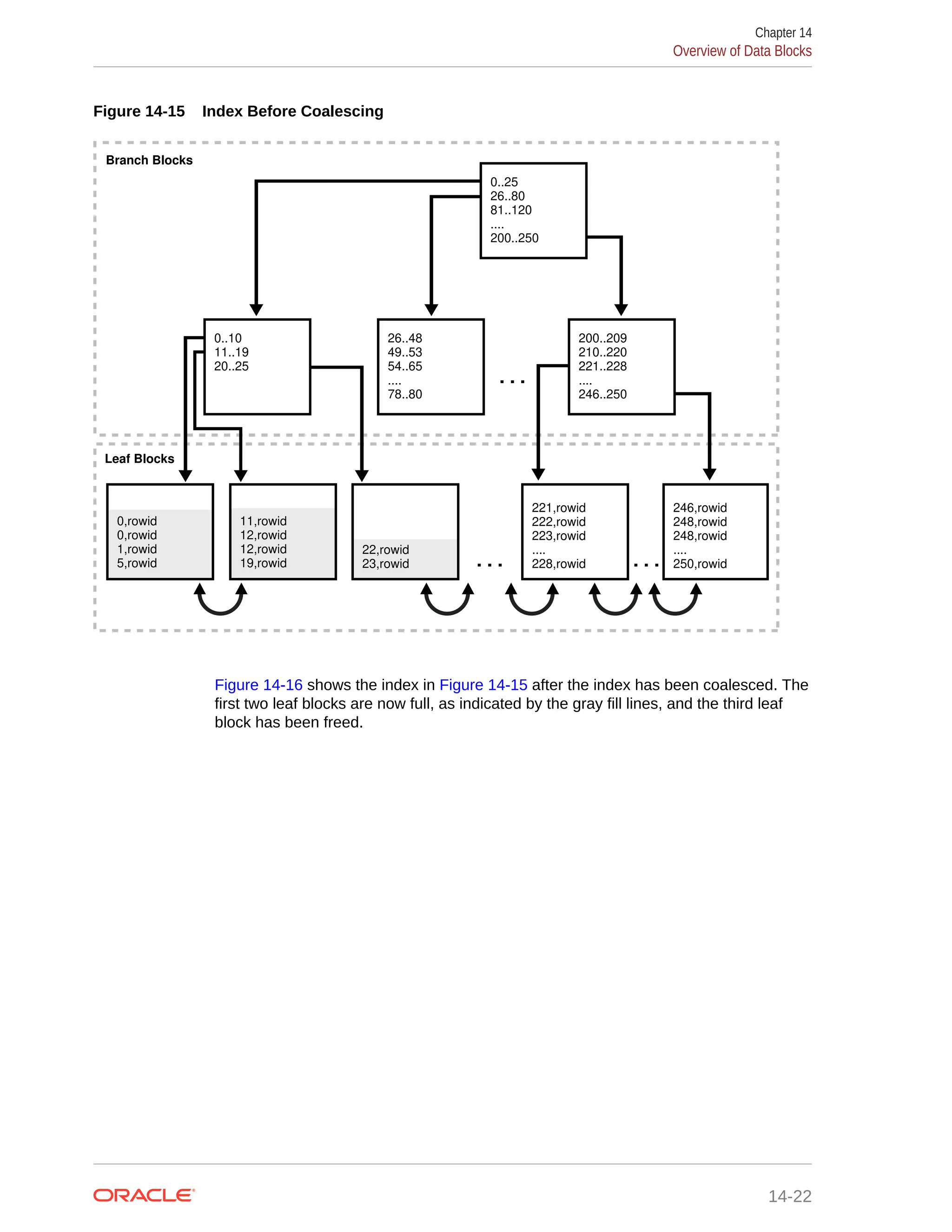Figure 14-15 Index Before Coalescing . . . 26..48 49..53 54..65 .... 78..80 11,rowid 12,rowid 12,rowid 19,rowid 22,rowid 23,rowid 221,rowid 222,rowid 223,rowid .... 228,rowid 246,rowid 248,rowid 248,rowid .... 250,rowid 0,rowid 0,rowid 1,rowid 5,rowid 0..25 26..80 81..120 .... 200..250 . . . . . . 0..10 11..19 20..25 200..209 210..220 221..228 .... 246..250 Branch Blocks Leaf Blocks Figure 14-16 shows the index in Figure 14-15 after the index has been coalesced. The first two leaf blocks are now full, as indicated by the gray fill lines, and the third leaf block has been freed. Chapter 14 Overview of Data Blocks 14-22 
