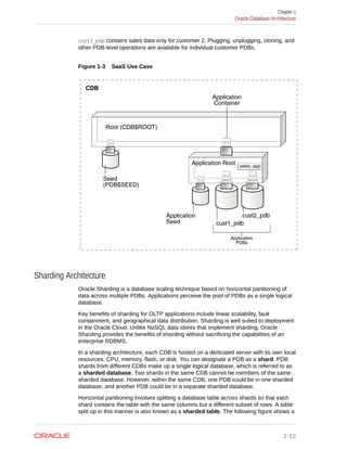 database-concepts for oracle aasdaasdasadsa | PDF