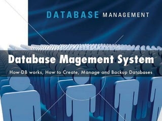 Database Magement System