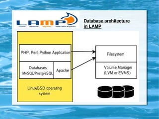 Database architecture 
        in LAMP




     
 