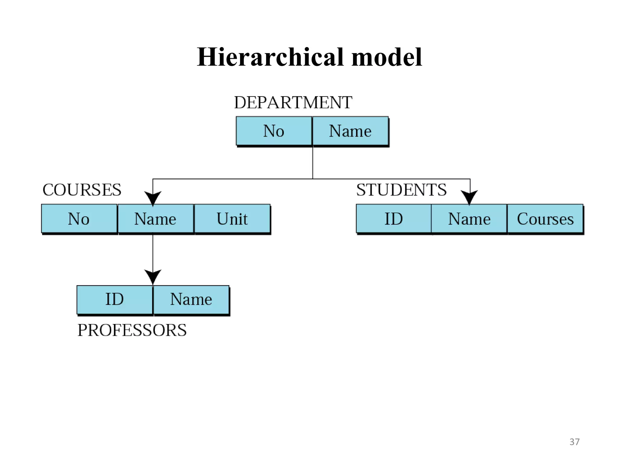 Hierarchical model 37 