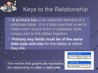 Database Relationships | PPT