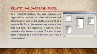 Comprehensive Introduction to Database Concepts and DBMS Fundamentals ...