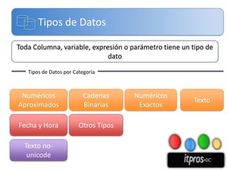 Tipos de Datos

Toda Columna, variable, expresión o parámetro tiene un tipo de
                             dato

   Tipos...