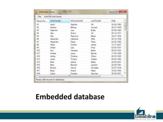 Embedded database
 