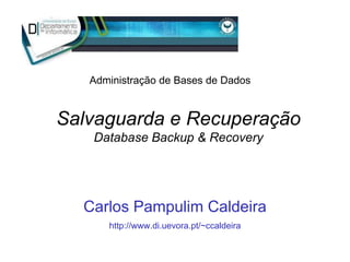 Salvaguarda e Recuperação
Database Backup & Recovery
Carlos Pampulim Caldeira
http://www.di.uevora.pt/~ccaldeira
Administração de Bases de Dados
 