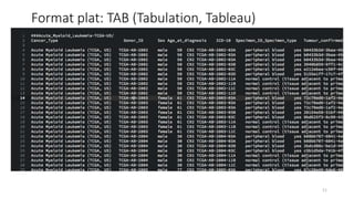 Format plat: TAB (Tabulation, Tableau)
11
 