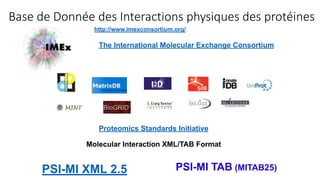Base de Donnée des Interactions physiques des protéines
The International Molecular Exchange Consortium
PSI-MI XML 2.5
Proteomics Standards Initiative
Molecular Interaction XML/TAB Format
PSI-MI TAB (MITAB25)
http://www.imexconsortium.org/
 