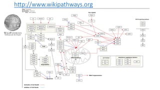 h"p://www.wikipathways.org
 