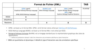 31
Format de Fichier (XML) TAB
GPML (.gpml)
Graphical Pathway Markup Language
KPML (KEGG Markup Language)
BioPAX (.owl)
Web Ontology Language
SBML (.smbl)
System Biology Markup language
SBGL (.sbgl)
Systems Biology Graphical Notation
PSI-MITAB
KEGG X
wikipathway X
Reactome X X X
• GPML est basé sur le format XML. GPML est le format native utilisé par PathVisio et WikiPathways.
• KEGG Markup Language (KGML) est basé sur le format XML. Il est utilisé par KEGG
• Biological Pathway Exchange (BioPAX) est un langage standard pour la représentation graphique des voies de
signalisations
• BioPax est qualitative et statique: Il décrit les interactions sans annotation spécifique au type d’interaction
• SBML est quantitative et dynamique: il détaille le type d’interaction avec des annotations spécifique
 