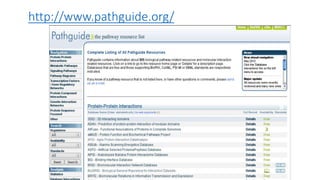 http://www.pathguide.org/
 