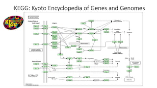 KEGG: Kyoto Encyclopedia of Genes and Genomes
 