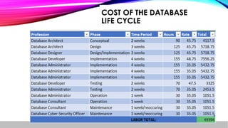 COST OF THE DATABASE
LIFE CYCLE
 