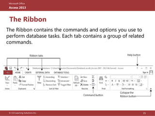 databasebesignmsaccessfirstdiscussiononline1 | PPTX