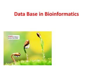 Data Base in Bioinformatics
 