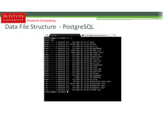 Data File Structure - PostgreSQL
Research Computing
 