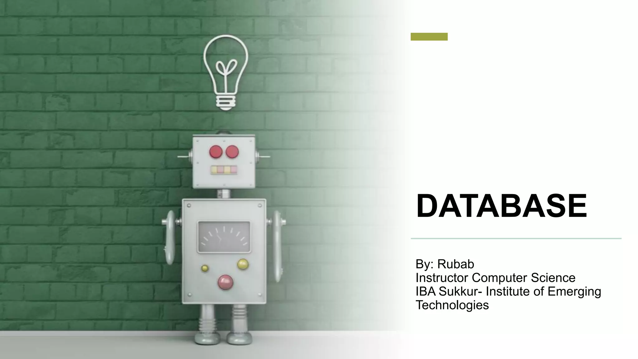 DATABASE
By: Rubab
Instructor Computer Science
IBA Sukkur- Institute of Emerging
Technologies
 