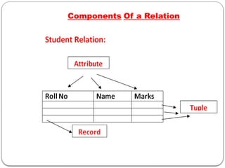 Components Of a Relation
 