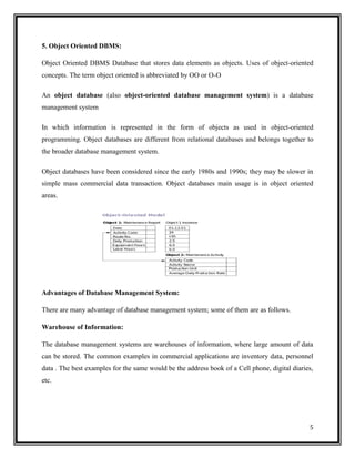 Database management system | PDF
