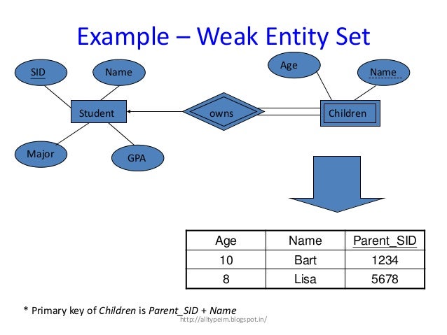 what is meant by database management system