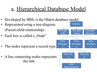 Database management system.pptx