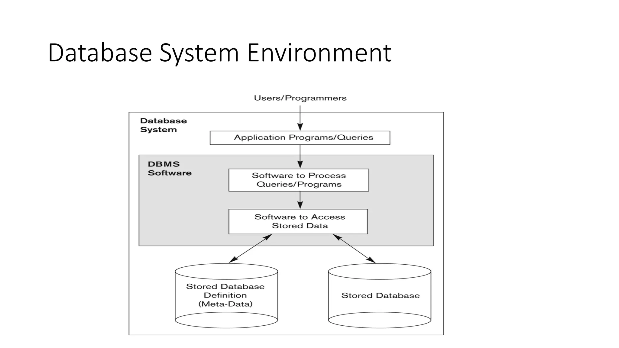 Database System Environment
 
