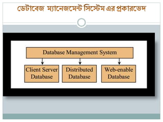 Database overview in bangla | PPTX