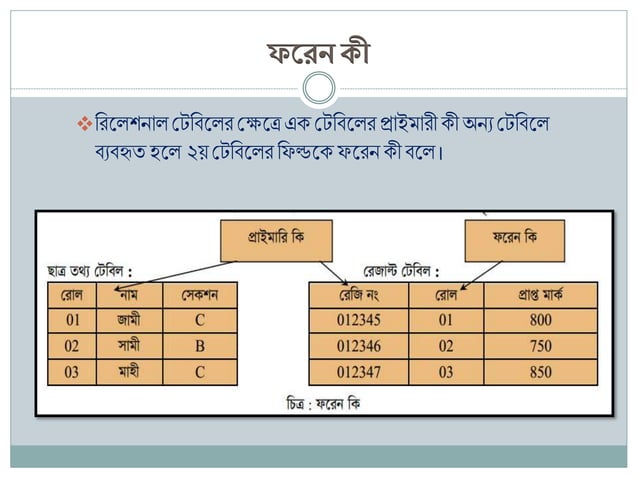 Database overview in bangla | PPTX