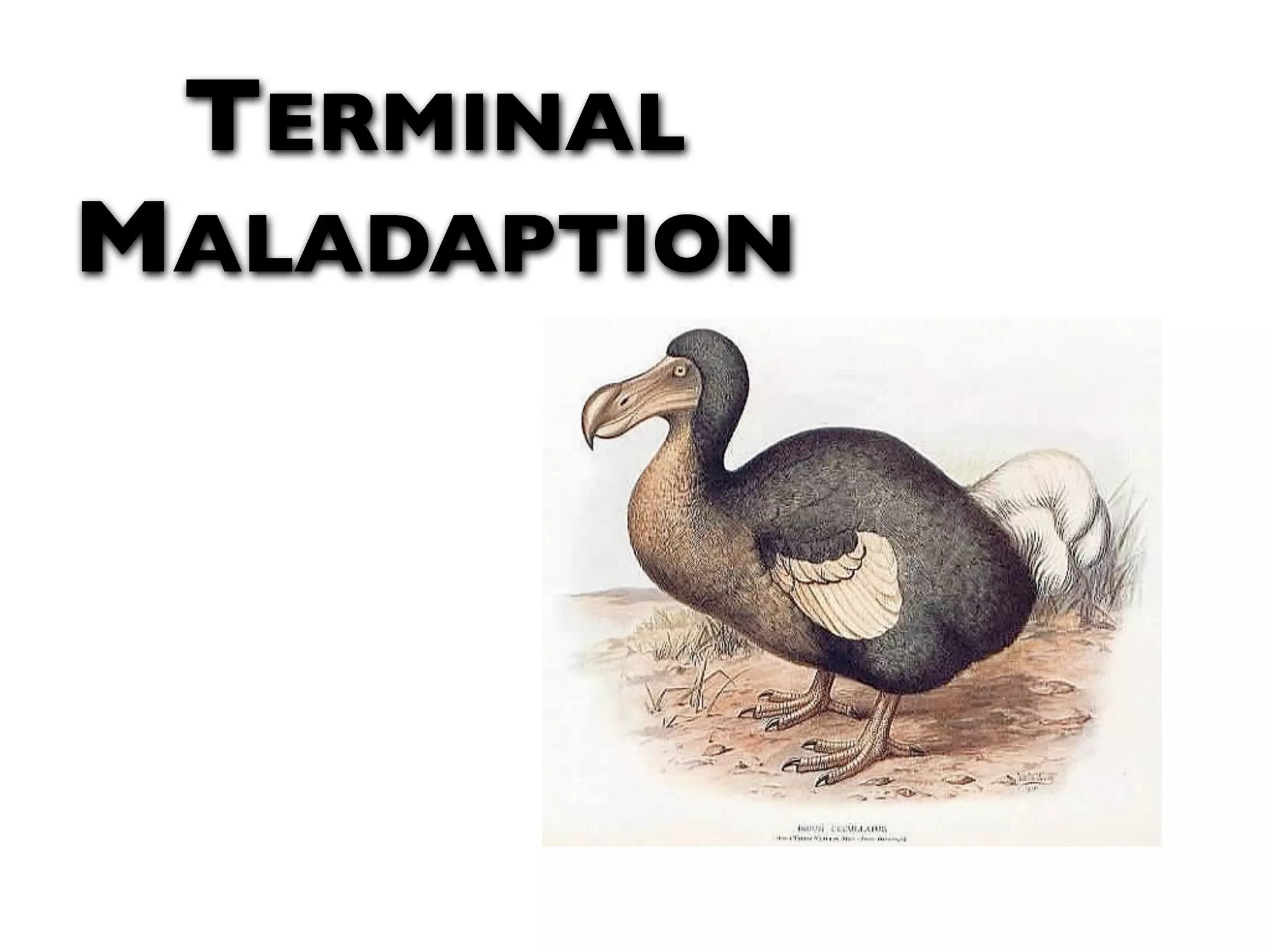 TERMINAL MALADAPTION 